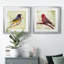 «Backyard Birds I», ensemble de 2 cadres photo-863639449-863639451