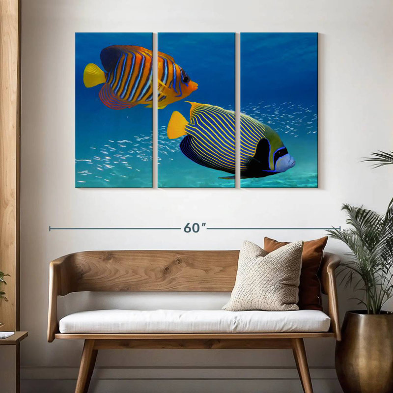 Exotic Emperor Angelfish, 32" H x 50" W