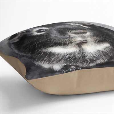 Square Cushion