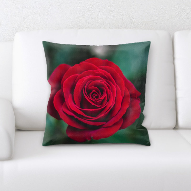 Focus Throw Pillow