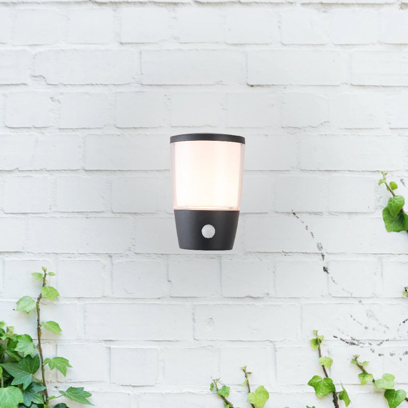 Canoby 16.3cm H Outdoor Armed Sconce, Grey