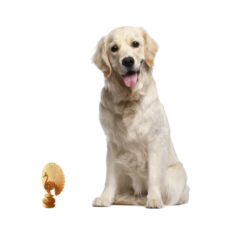 Figurine Ambria
