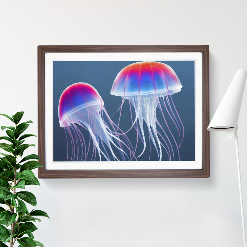 Jellyfish Vol.2 - Single Picture Frame Print, 25cm H x 34cm W x 2cm D, Walnut Framed