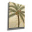 «Royal Palm II» par NBL Studio, art mural en verre acrylique-1949488436