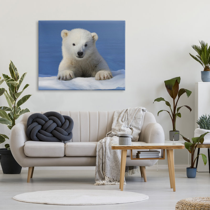 Bébé ours polaire regardant sur toile par Shane Lamb, H 36 po x l 48 po x P 1,5 po