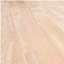 Comptoir de boucher non fini Hevea-932363273
