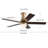 Carthel 5 - Blade 6 Speed Ceiling Fan Light with Remote Control for Bedroom Kitchen -1654484437