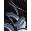 Tentations I Print by Novi Lim-132457085-65859272