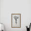 Palm Livistona - Single Picture Frame Print-1984775295