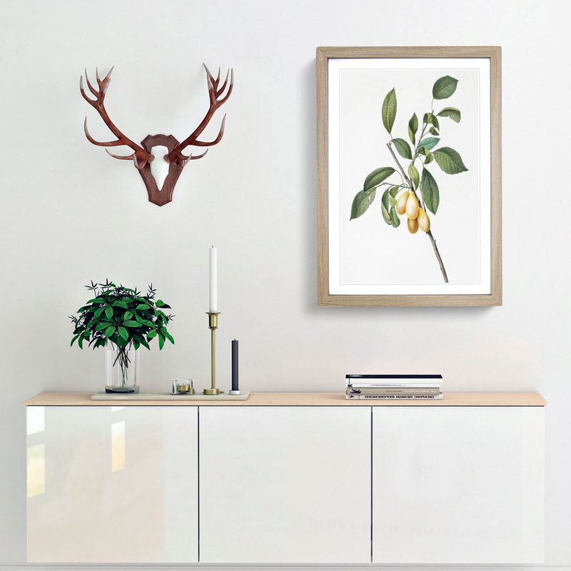 Plums Upon the Tree by Giorgio Gallesio - Picture Frame Painting Print, Oak Framed, 36cm H x 27cm W x 2cm D