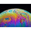 Soap Bubble Close Up Print by Philippe Monthoux-132457279-65848985