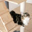 Arbre à chat 64 po Chabeli-539217360