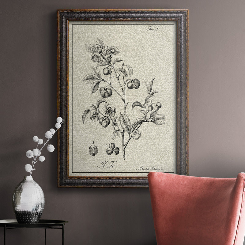 «Antique Black & White Botanical IV», reproduction de cadre photo sur toile, H 27 po x l 18 po x P 2,5 po