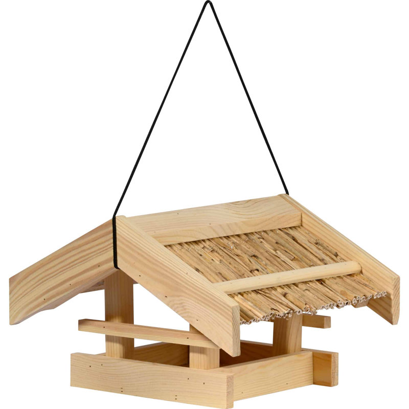 Santaquin Suspended