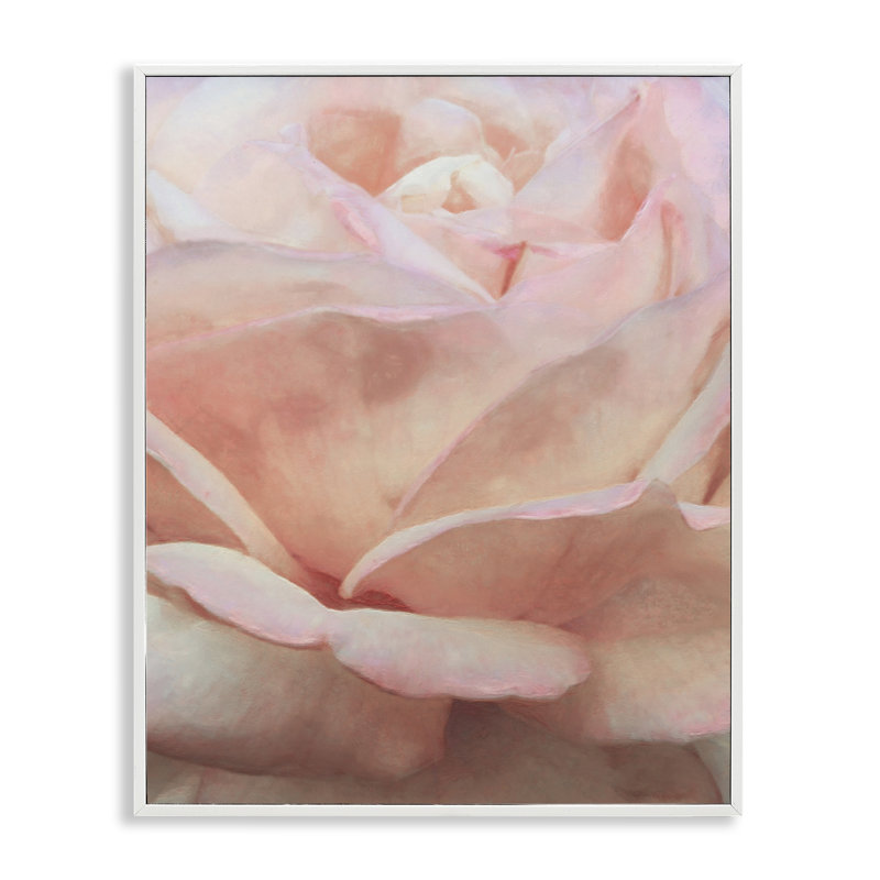 Doux pétales de rose par Alonzo Saunders bg-076, Estampe numérique encadrée blanc bord de mer, H 20 po x l 16 po