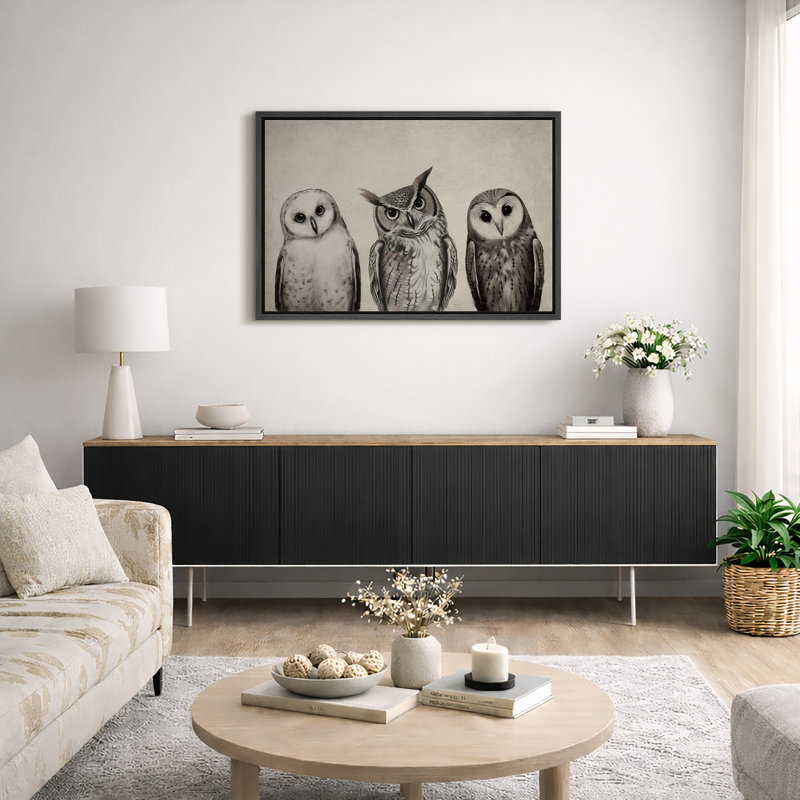 "Bird Birds", variété de chouettes, encadrée sur toile, Noir, noir, noir, noir, H 24 po x l 36 po x P 1,5 po