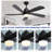 Damecia 52'' Ceiling Fan with LED Lights-1444270905