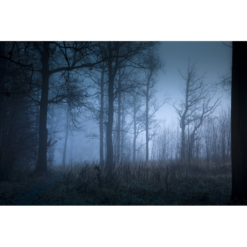 Mystic Forest With Fog In Autumn by Mordolff - No Frame Print on Canvas, 81cm H x 122cm W