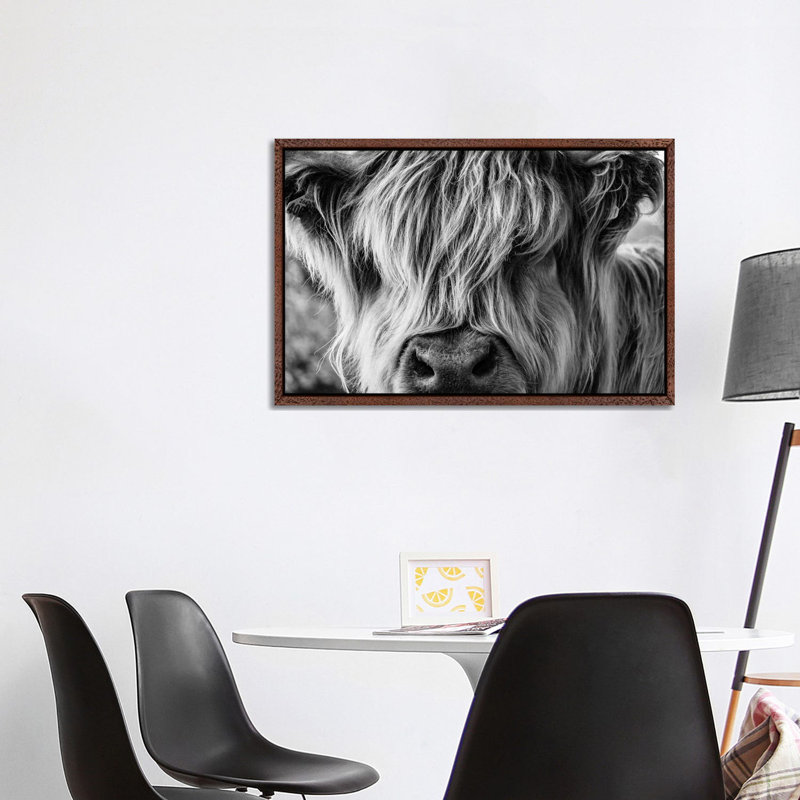 A Very Long-Haired Cow Looks Through Its Hair by Charlietyack - Print on Canvas, 66.04cm H x 101.6cm W x 3.81cm D