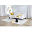 Lit d'invité, lit d'invité et lit plateforme beige