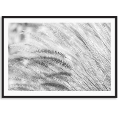 Summer Breeze par Carly Tabak - Photographie avec cadre photo