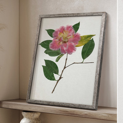 PressedCamelliaII Framed Print - Solid Wood