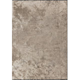 Rapture Area Rug