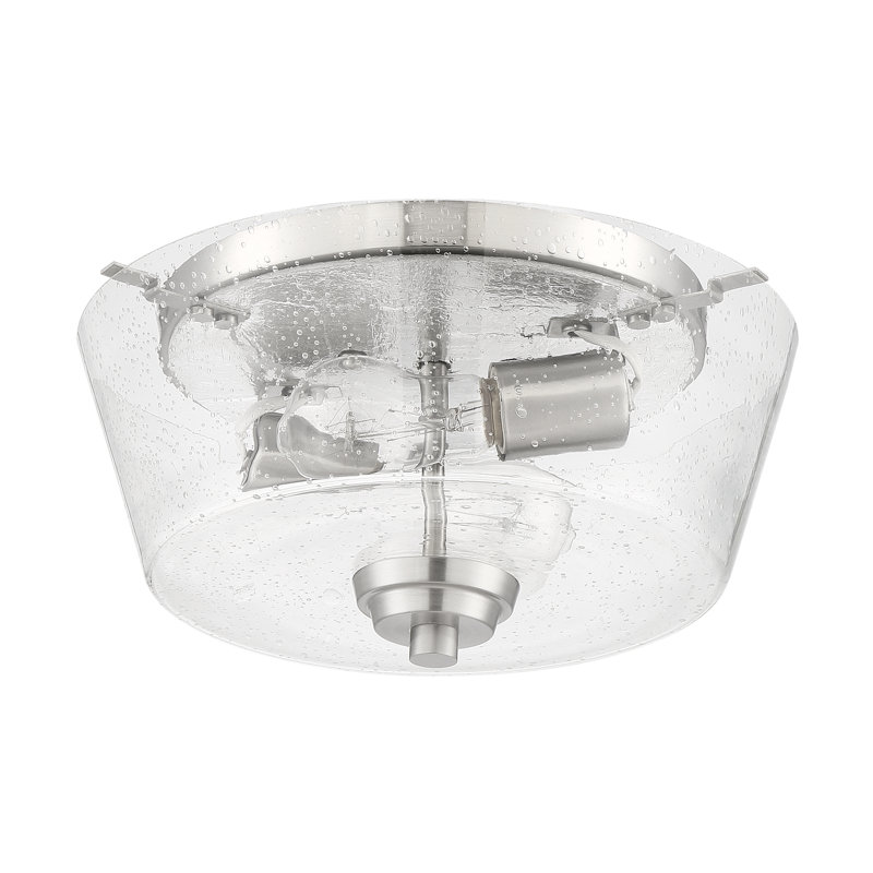 Witte Flush Mount, Brushed Polished Nickel