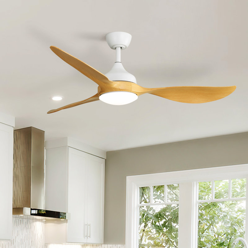 56 Inch Modern Ceiling Fans Dimmable LED Light Quiet DC Reversible Motor For Indoor & Outdoor