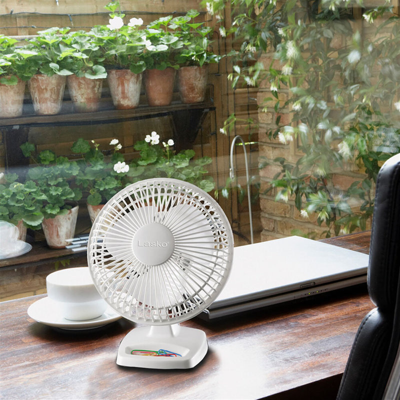 Lasko Personal Fan & Reviews | Wayfair