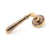 Polished Bronze