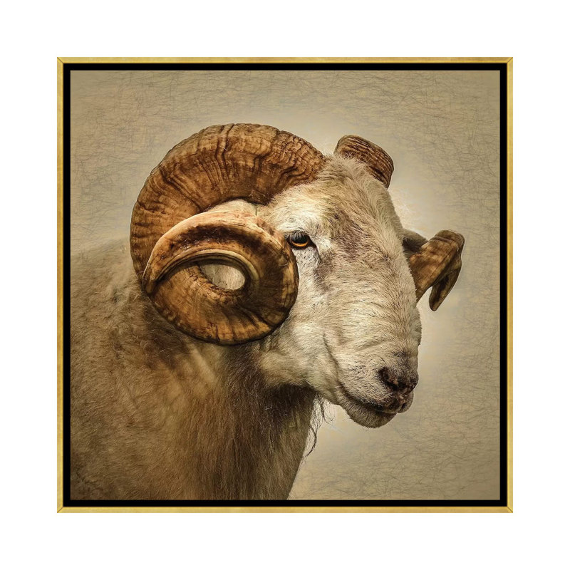 « RAM » par Mark Gemmell-impression d’art graphique, Pas de tapis, H 18 po x l 18 po x 1,5 po, Toile encadrée d'or