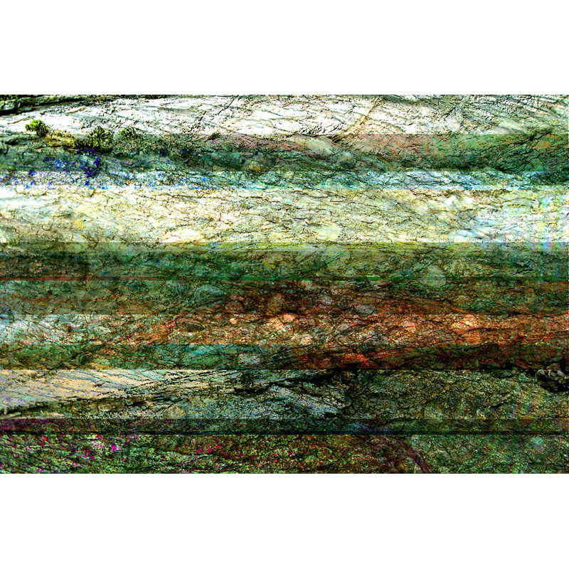 Lines Of Nature I by Danielle Harrington - Wrapped Canvas Print, 30cm H x 46cm W