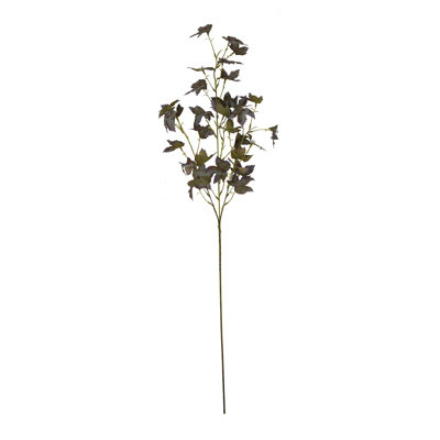 Anastasija Arrangement