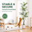 Arbre de jacaranda artificiel de 6 pi avec jardinière décorative blanche, grande coccinelle artificielle avec troncs réalistes et feuillage vert luxuriant pour le salon, le bureau, la chambre à coucher et le vestibule