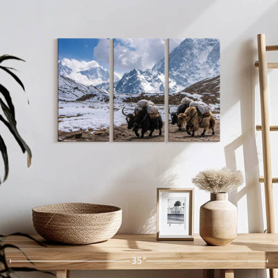 Mount Everest Yaks
