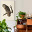 «Pl 351 Great Cinereous Owl», reproduction d'art sur toile tendue-724592755