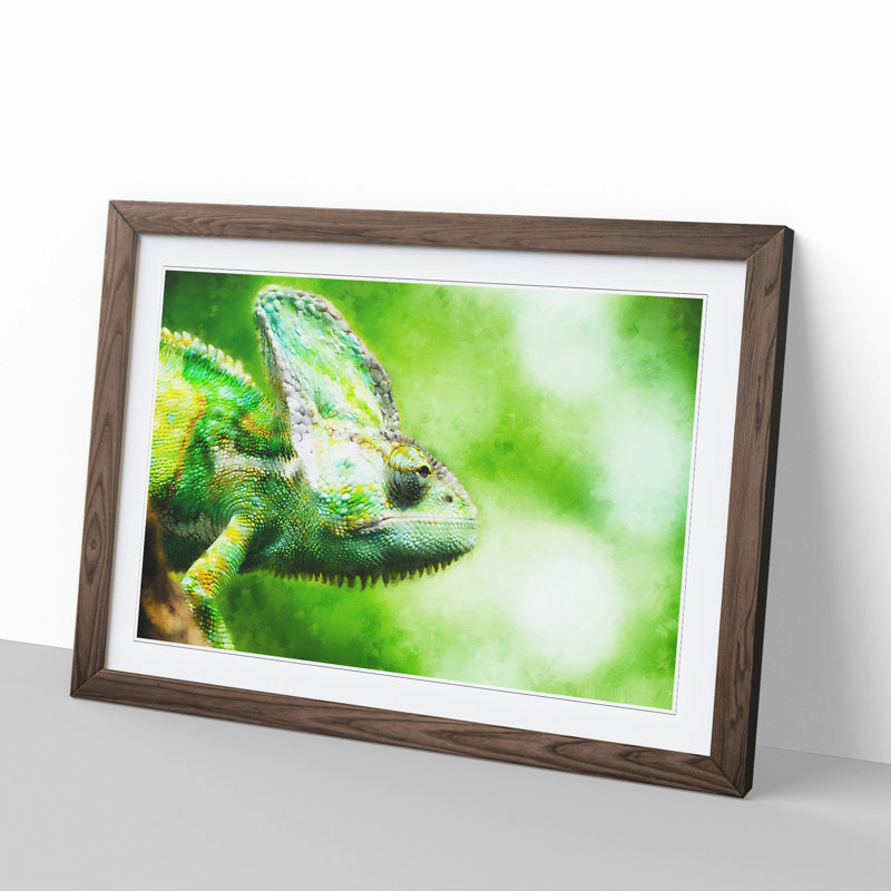 Chameleon Lizard Vol.1 - Framed Print, 36cm H x 48cm W x 2cm D, Walnut Framed