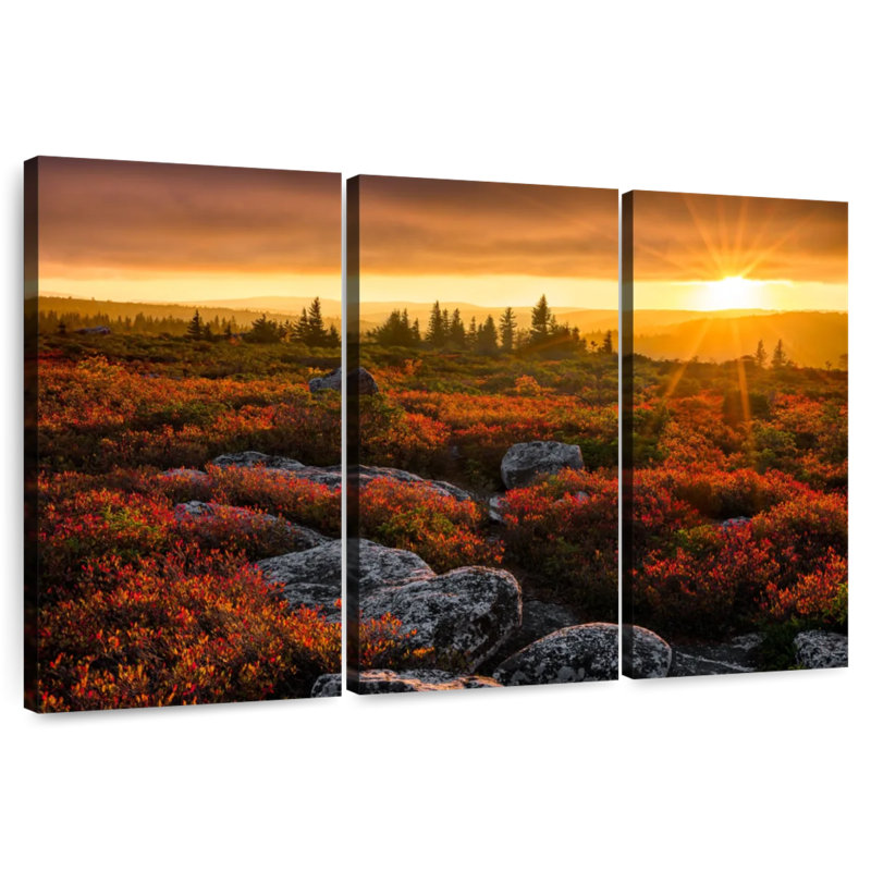 Alvord Dolly Sods Sunset, H 48 po x l 74 po