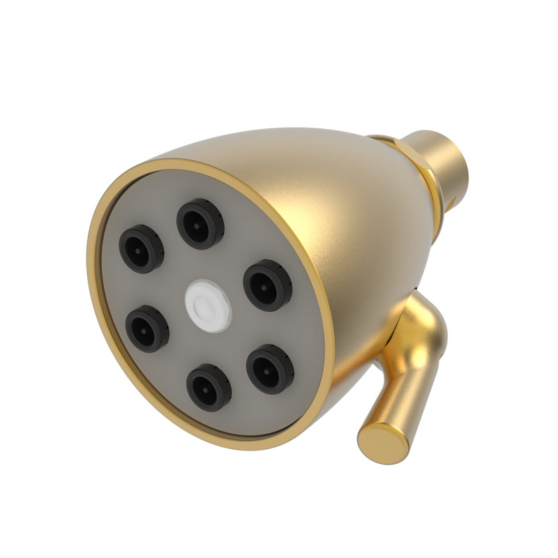 Single Function Shower Head, Satin Gold