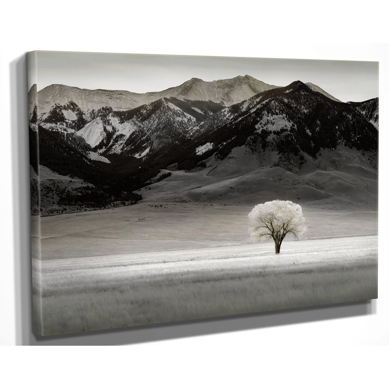 Modern & Contemporary, 16" H x 20" W x 1.5" D