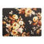 Wild Rose Brown Cork Back Placemats, Set Of 4