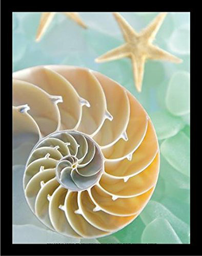 « mer 2 (nautilus) », impression sur affiche encadrée