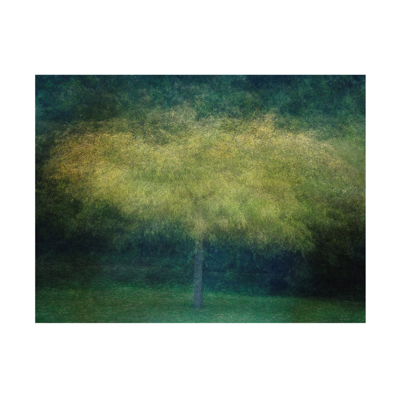 Un arbre par Nel Talen, H 14 po x l 19 po x P 2 po