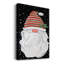 Gnome d'hiver-1709073811