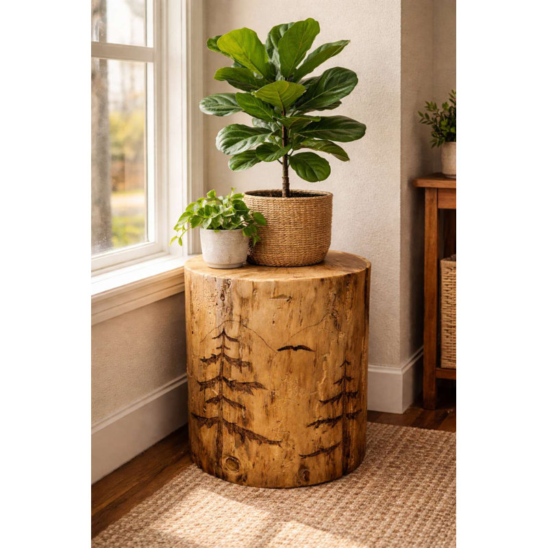 Souche de pin Woodland, support pour plante / table d'appoint / tabouret, 10 po x 18 po, vernis naturel transparent