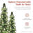 Lighted Christmas Tree-1916638097