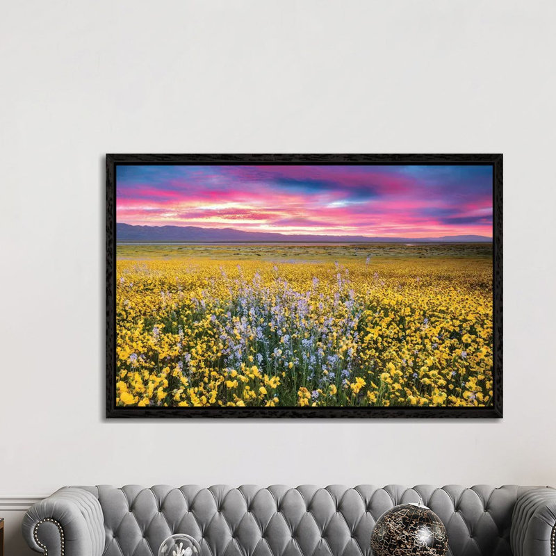 Flower Field Sunrise II by Dennis Frates - Print on Canvas, Black Framed, 101.6cm H x 152.4cm W x 3.81cm D