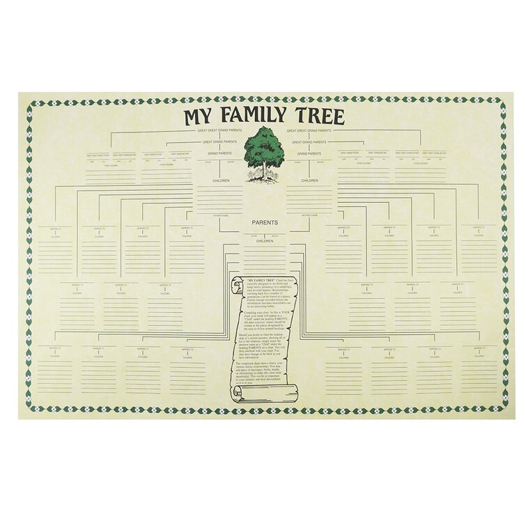 Treasure Gurus Large Genealogy Family History Tree Genetic