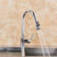 Belfry Kitchen Bauerle Pull Out Kitchen Faucet